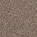 Bayramix SOLAR, S264 Пралине Bayramix SOLAR, S264 Пралине